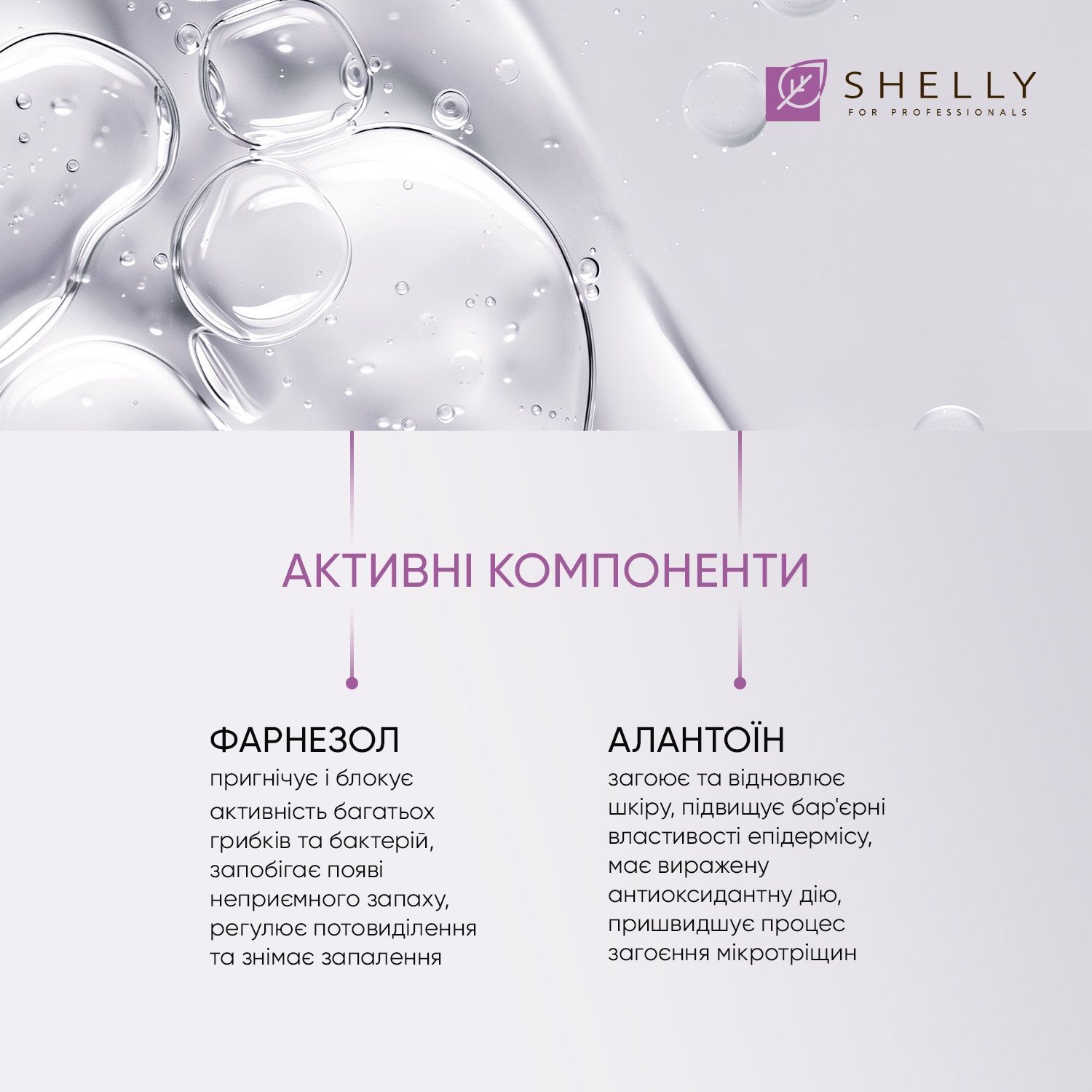 Дезодорирующий средство для ног пролонгированной действия с фарнезолом Shelly 100 мл 4823109406995 фото